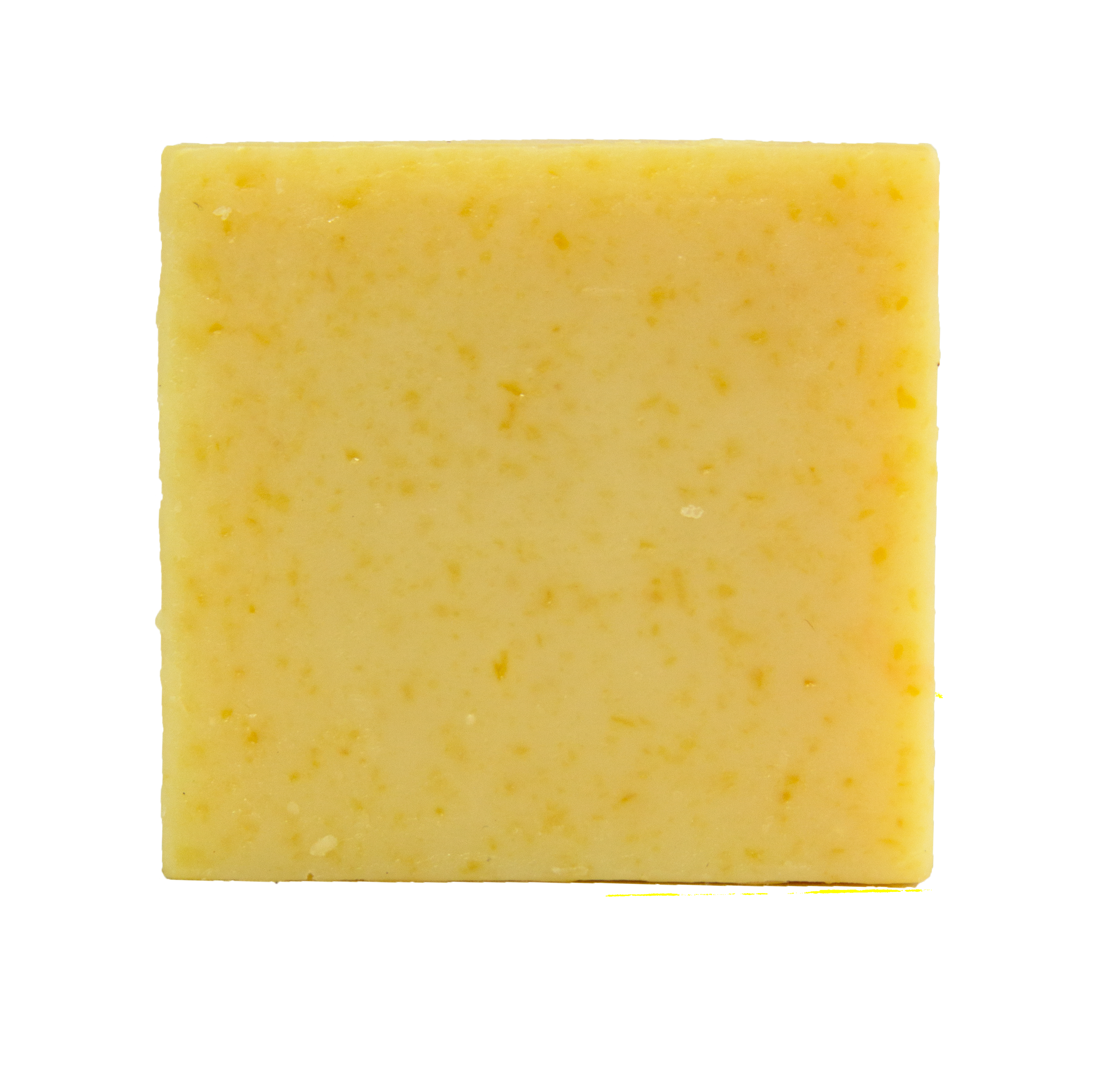 Unscented Goat's Milk Shampoo Bar