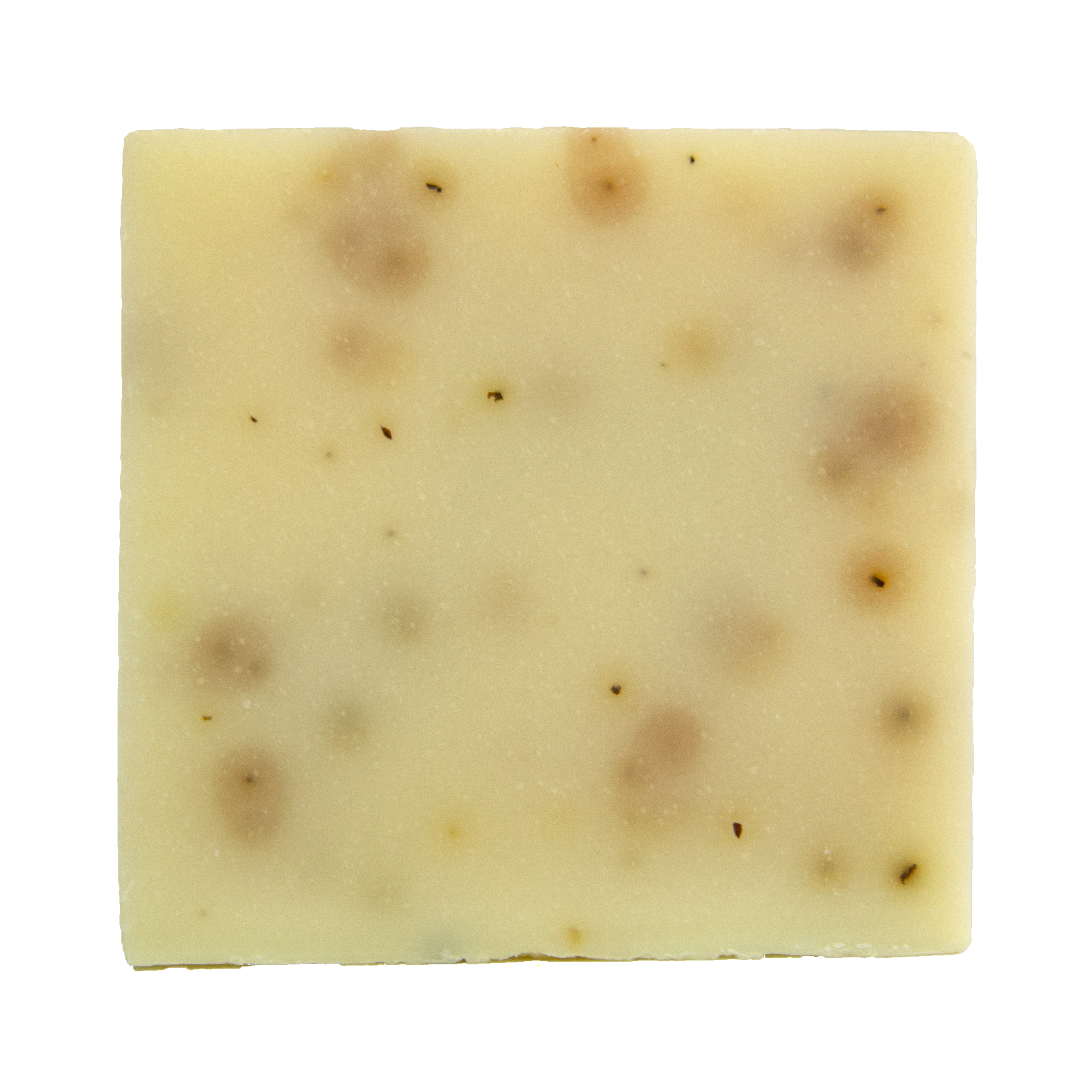 Eucalyptus & Aloe Vegan Soap